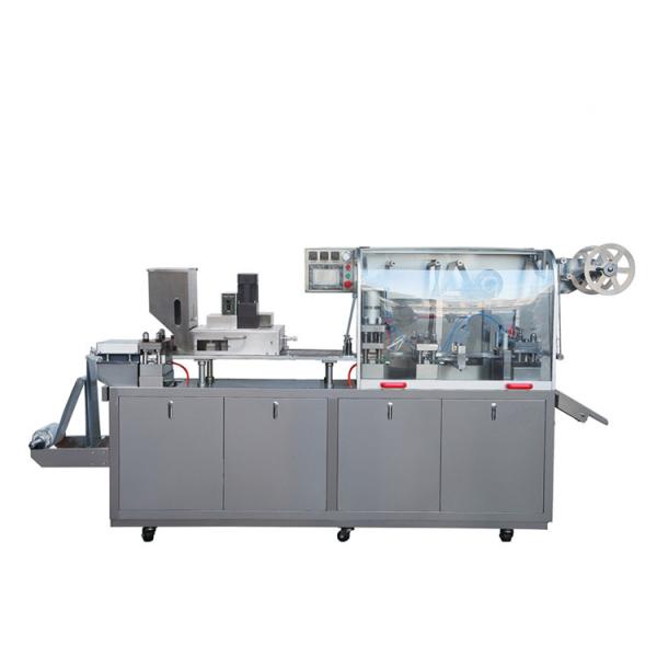 SED-260H 380V/220V 50Hz 6.2kw Sus Blister Packaging Machine Pharmaceutical