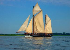 Wholesale 40FT Sea Shipping From China To Bahrain Umm North Shuwaikh Sohar from china suppliers