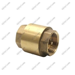 Brass Check Valve
