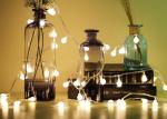 Globe Indoor Christmas String Lights Wedding Xmas Party Battery Powered