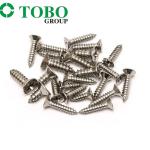 DIN7983 SS304 Oval Head Self-Tapping Screws M3.5 M4.2 Stainless Steel 304 Head