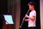 Professional PerformanClarinet Wholesale Woodwind Musical Instrument Clarinet