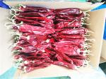 15% Moisture Sweet Paprika Pepper Pungent Dried Chili Pods 18CM