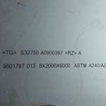 1500*6000mm Length S32750 2507 Super Duplex Steel Plate DIN1.4410 Stainless