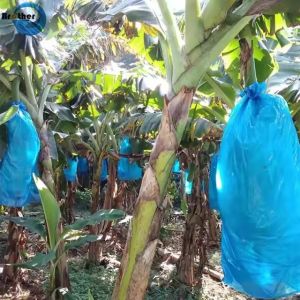 Hot Sale Agricultural Biodegradable HDPE Material Blue Perforated Polyethylene