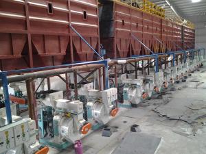 Wholesale Complete Overseas Wood Pellet Plant Biomass Pellet Production Line 1-20t/h from china suppliers