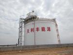 Vacuum Insulated Cryogenic Liquid Flat Bottom Storage Tank 250m3
