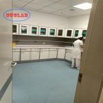 Multi-Functional Lab Benches with Drawers Customizable Options