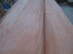 4’ x 8’ Red Cedar Wood Veneer Sheet For Furniture, Door