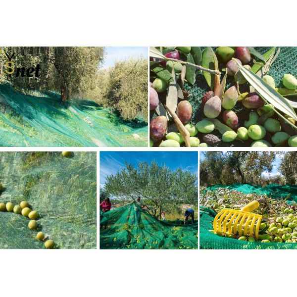 60gsm - 90gsm Fruit Collector Net HDPE Fruit Collector Harvesting Net