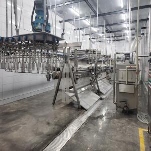 Wholesale Stainless Steel Slaughter Processing Line 500bph 10000bph Chicken Abattoir Equipment from china suppliers