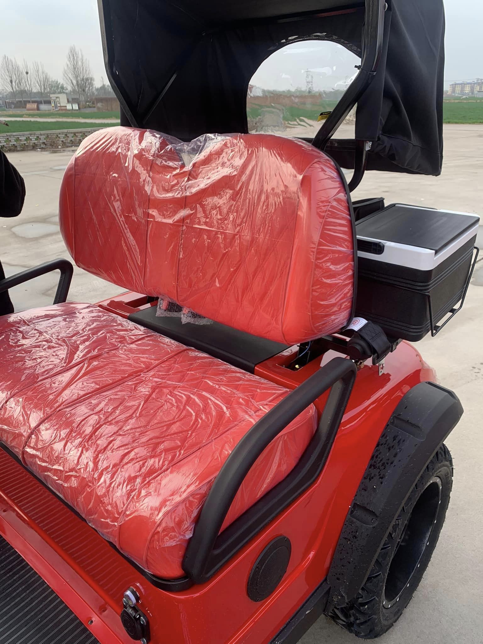 Enhanced Visibility 2 Seater Golf Cart With Striking LED Lights