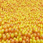 S610 Full Automatic Paintball Making Machine High Efficiency CE Certificated