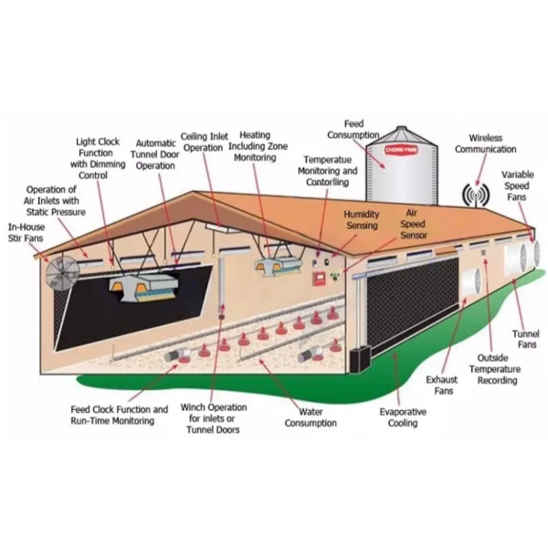 Hot-Dip Galvanized Steel Structure Chicken Coop with Modular Design and Customizable Dimensions for Poultry Farm Building