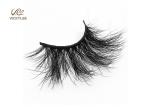 Fan Shaped Whole Strip Cotton Stalk 5D Volume Lashes