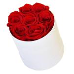 Christmas Decoration Recycled Paper Cans Packaging Gift Box Round Cardboard