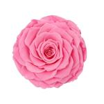 Home Decor Preserved Rose Heads Creative Household Decorative Furnishings