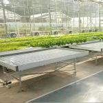 Plant Growing Greenhouse Accessories 4'×8' 4'×10' Ebb And Flow Rolling Bench