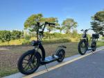 Richbit H300 Fat Electric Scooter Cycle High Speed 50km/H 1000w 48v 16ah 26x4.0