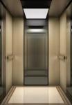 2.5m/s Residential Passenger Elevator Lift 1000KG 13 Persons