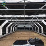 Hydrophonic 8m Automated Blackout Greenhouse For Medicinal Plants