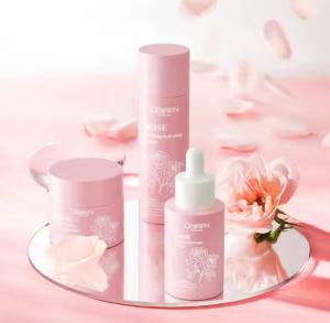 Wholesale Private Label Niacinamide Brightening Anti Aging Wrinkles Retinol Cream Serum Rose Toner Facial Skin Care Set from china suppliers