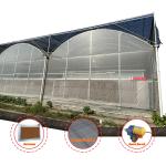 Vegetable Production Agricultural Seeds Strawberry Greenhouses Multi Tunnel