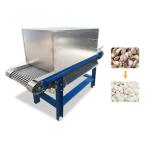 Multifunctional Electric Industrial Fruit Cutting Machine For Restaurant