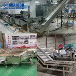 Banana Chips Production Line Full Automatic French Fries Production Line