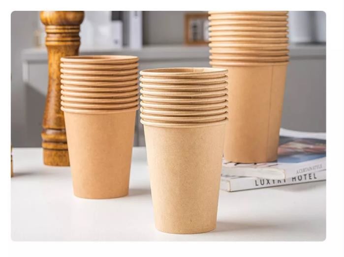 Bio-Degradable Drinking PLA Coating Recyclable Double Wall Paper coffee Cups