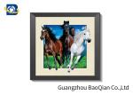 0.9mm PET 3D / 5D Pictures Dinosaur Image 40x40cm Size For Decoration