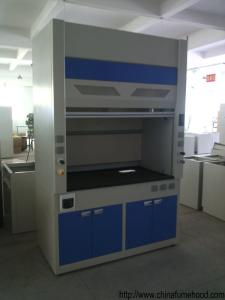Wholesale Safety Lab Fume Hood Window Lift Freely With Hidden Fluorescent Lamp from china suppliers