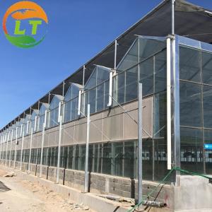 Wholesale Smart Controlled Safe Glass Greenhouse for Vegetable Fruits Flowers Top Height 4.8m-6.8m from china suppliers