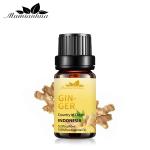 5ml Herbal Essential Oils MSDS Ginger Essential Oil Hair Growth OEM