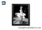 3d Stereograph Printing / Pictures , Lenticular Famous Figure 3d Picture Of