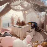 Height 2.7m Clear Bubble Tents Luxury Flame Retardant Clear Dome House