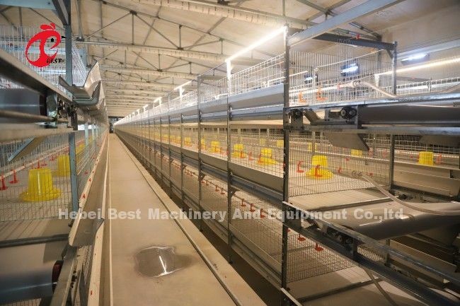 Manual Cleaning Automatic Chick Brooder Cage H Type Metal For Chickens Adela
