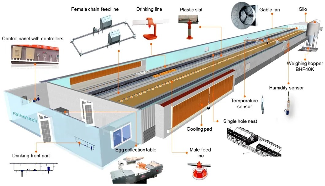 Custom Automated Poultry Equipment with Automatic Pan Feeding System and High Temperature Resistance for Breeder System