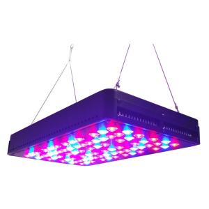 Wholesale Apollo 40x5W multi-angle lens red and blue power LED Grow Lights greenhouse gardeningnew from china suppliers