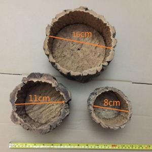 Wholesale Nature Round Cork Bark Planter for for Gardening, Orchids, or Succulents from china suppliers