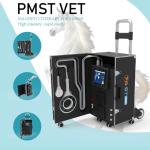 Equine Magneto Therapy EMTT PEMF Physiotherapy Machine For Muscle Swelling And