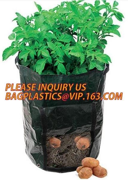 Smart Grow Bags For Potato/Plant Container/Aeration Fabric Pots With Handles