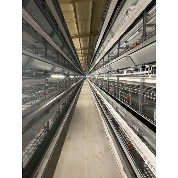 4 Tier H Type Fully Automatic Battery Layer Chicken Cage with Galvanized Steel Poultry Farming Equipment