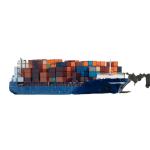 Economic Professional DDP Sea Shipping From China To Netherlands