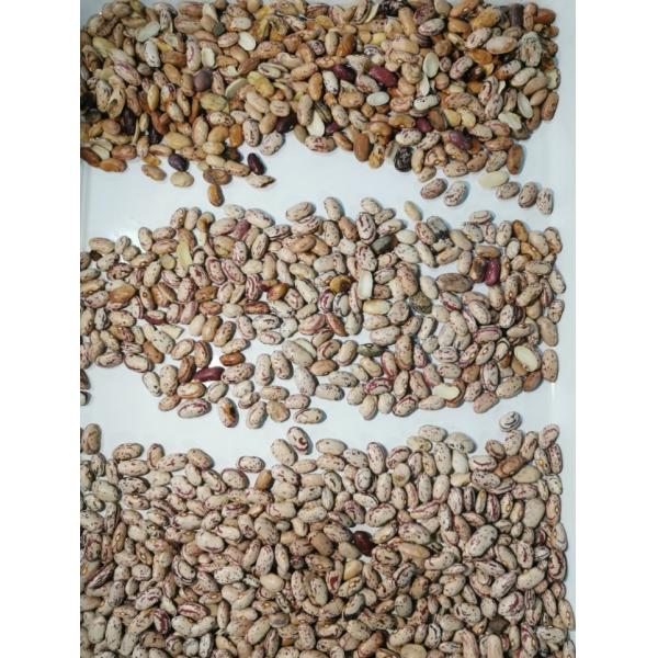 Kidney Bean Grain Color Sorter Machine High Accuracy