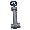 Buy cheap Stainless Steel 304 /316 Low Temperature PCTFE Disc Seal Cryogenic Globe Valve from wholesalers