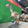 Buy cheap Robotic Real Animatronics Dinosaurs Waterproof For Restaurant / Hotel from wholesalers