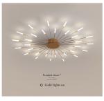 Nordic fireworks ceiling lamp bedroom living room LED black ceiling lights