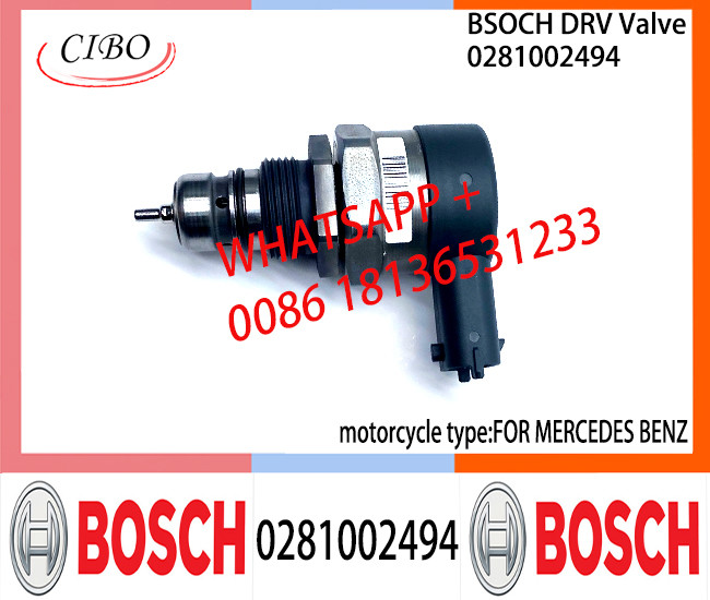 BOSCH DRV Valve 0281002494 Control Valve 0281002494 FOR MERCEDES BENZ