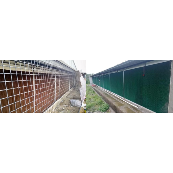 Automatic Poultry Feeding System with Galvanized Steel Construction and Automatic Feeding Control for Chicken Farm Equipment